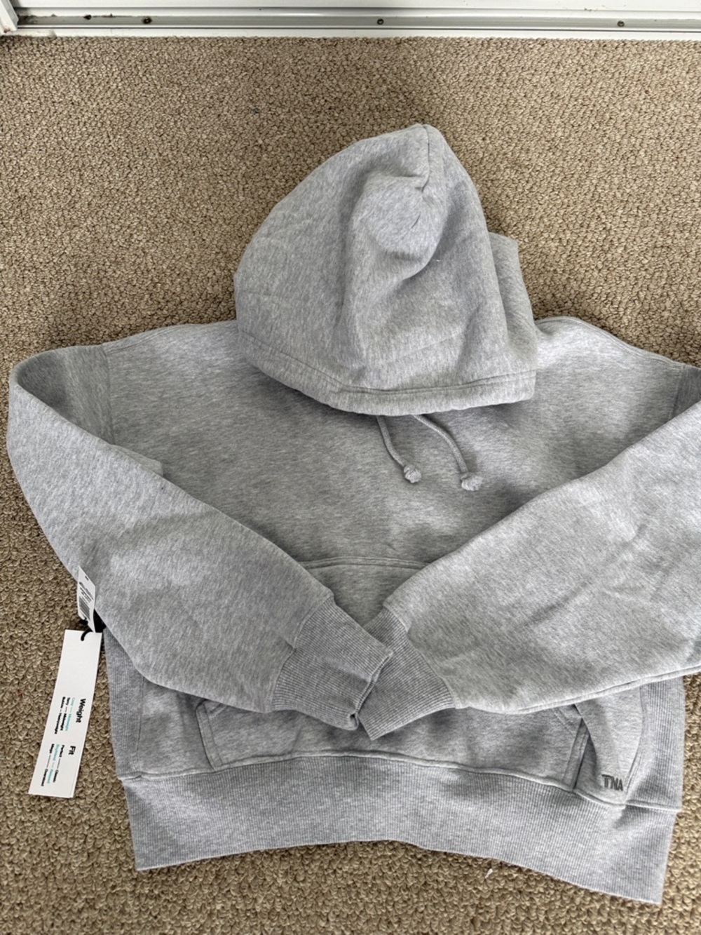 Aritzia TNA Gray Hooded Cropped Sweatshirt